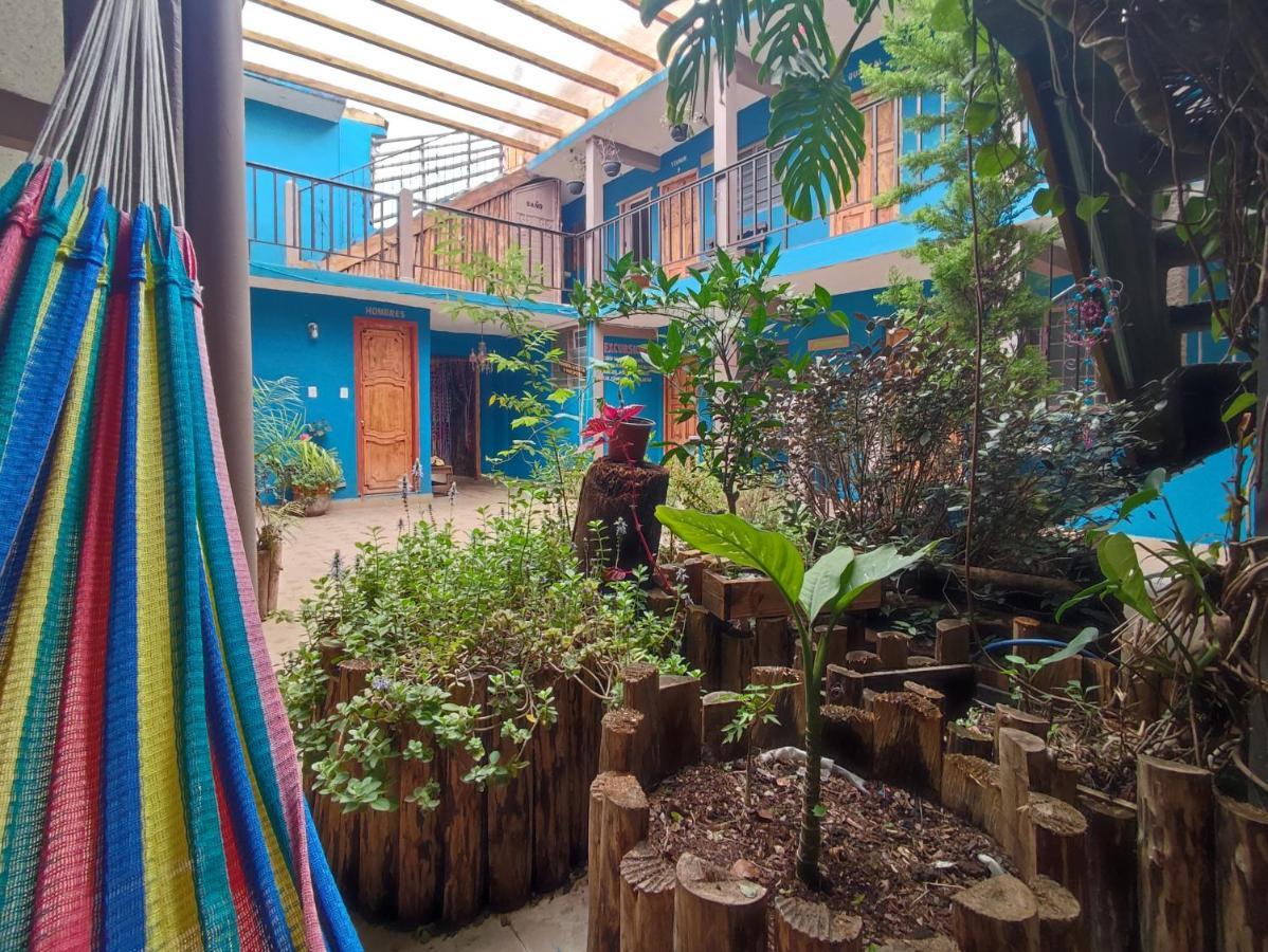 Hostal Ikal San Cristóbal de Las Casas Buitenkant foto